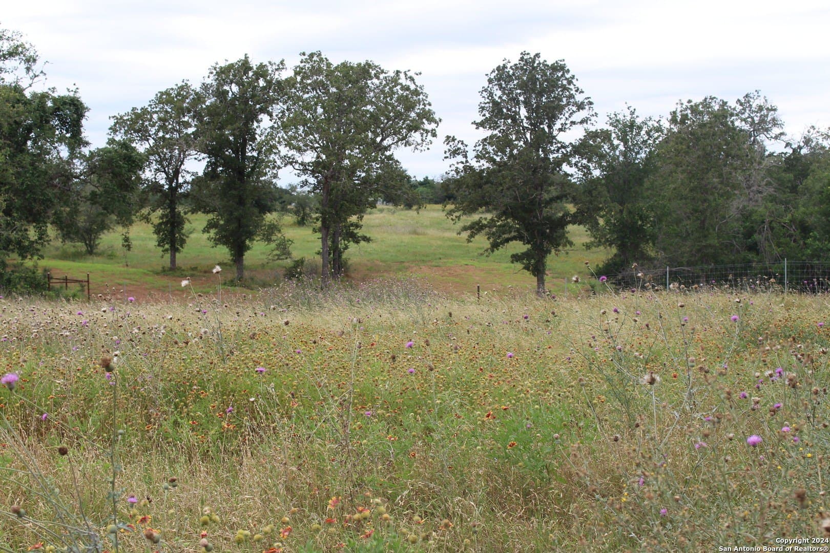 41.38 acres in Guadalupe County gallery image 4