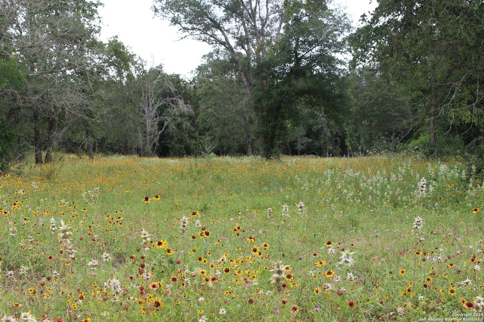 41.38 acres in Guadalupe County