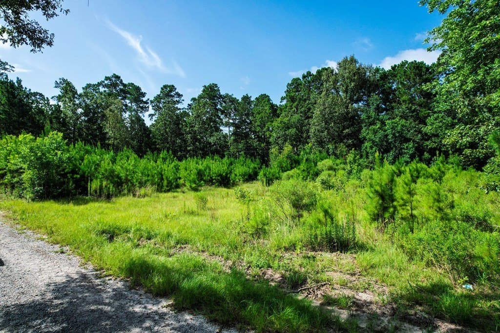 0.96 acres in Texas County gallery image 4
