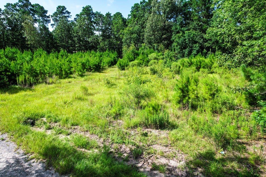0.96 acres in Texas County gallery image 3