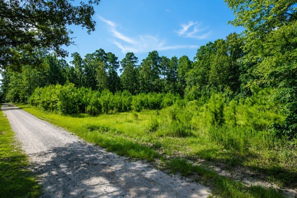 0.96 acres in Texas County gallery image 2