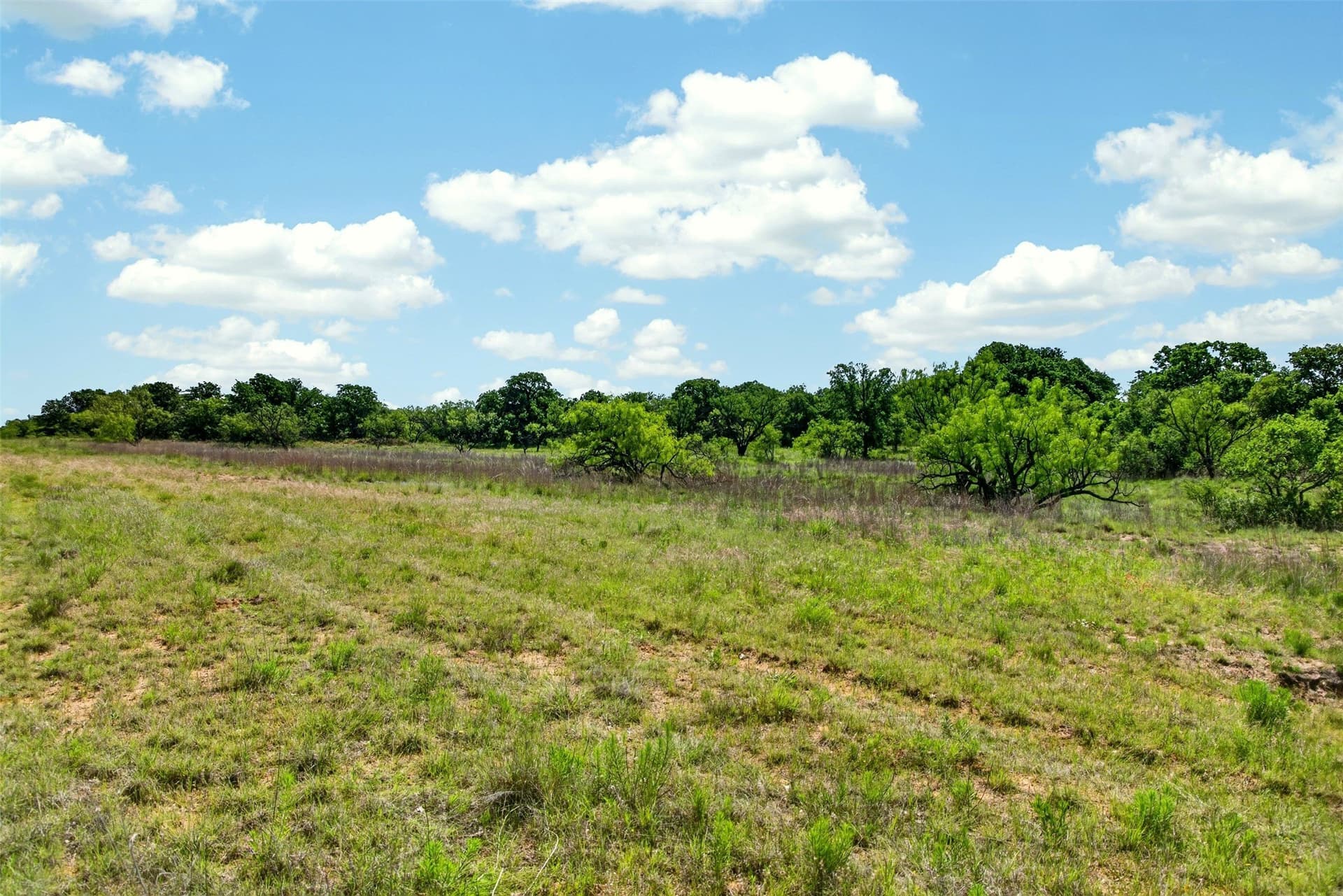 171 acres in Eastland County - photo 12