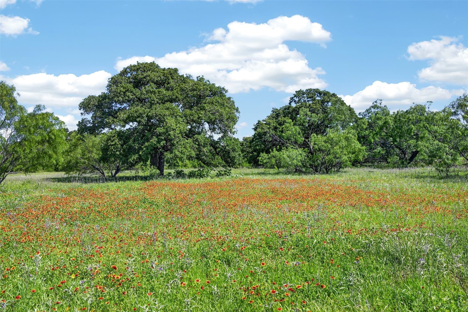 171 acres in Eastland County - photo 7