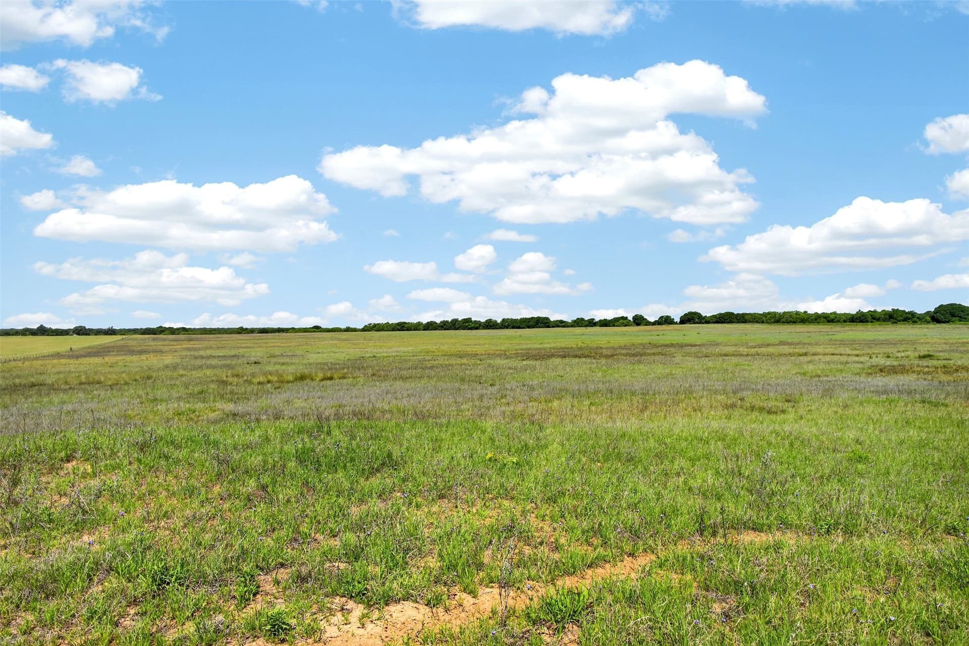171 acres in Eastland County - photo 15