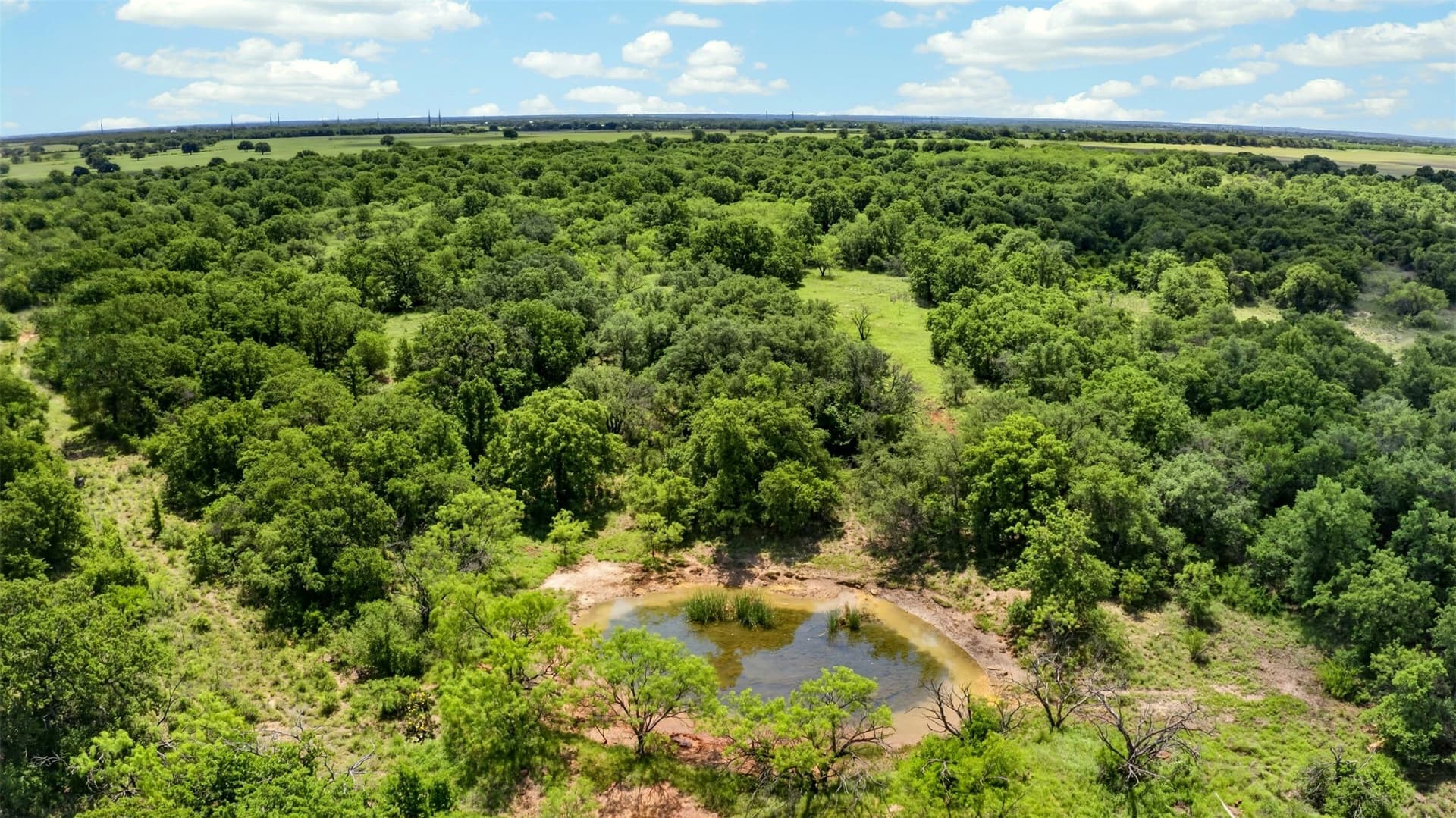 171 acres in Eastland County - photo 9