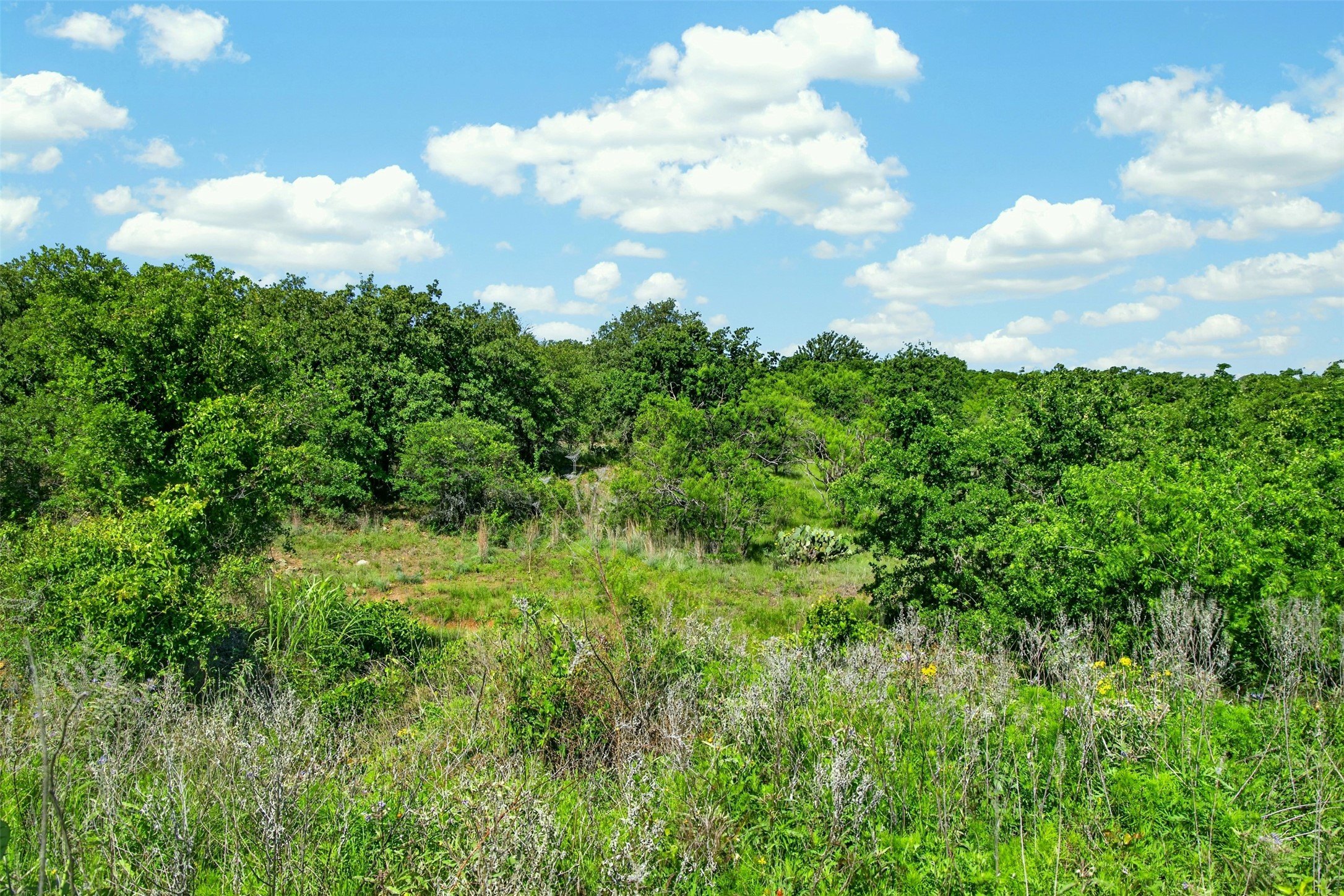 171 acres in Eastland County - photo 22
