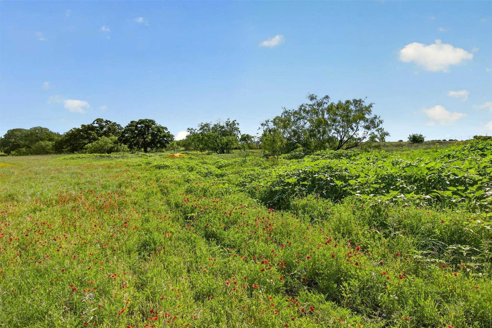 171 acres in Eastland County - photo 26