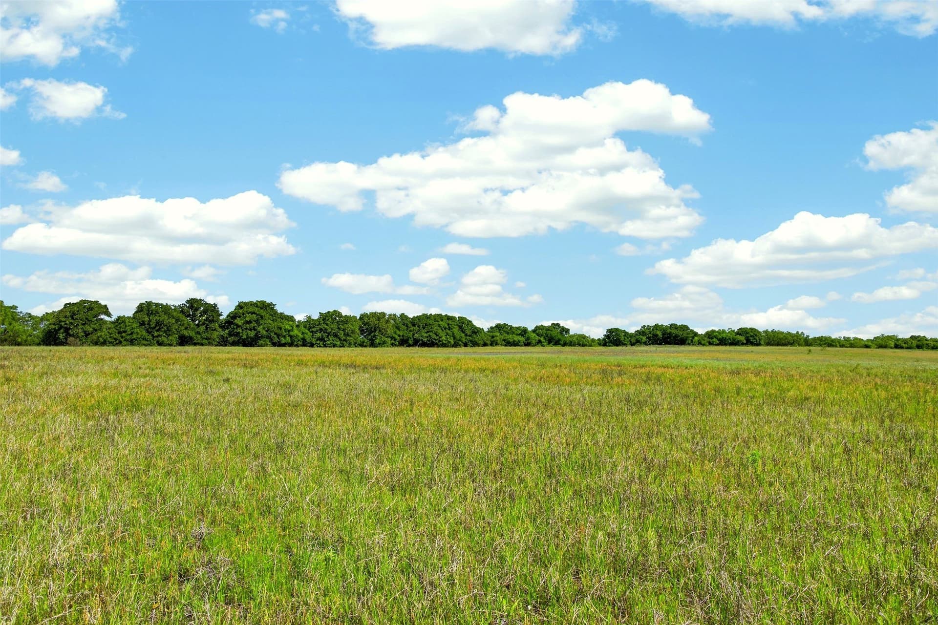 171 acres in Eastland County - photo 17