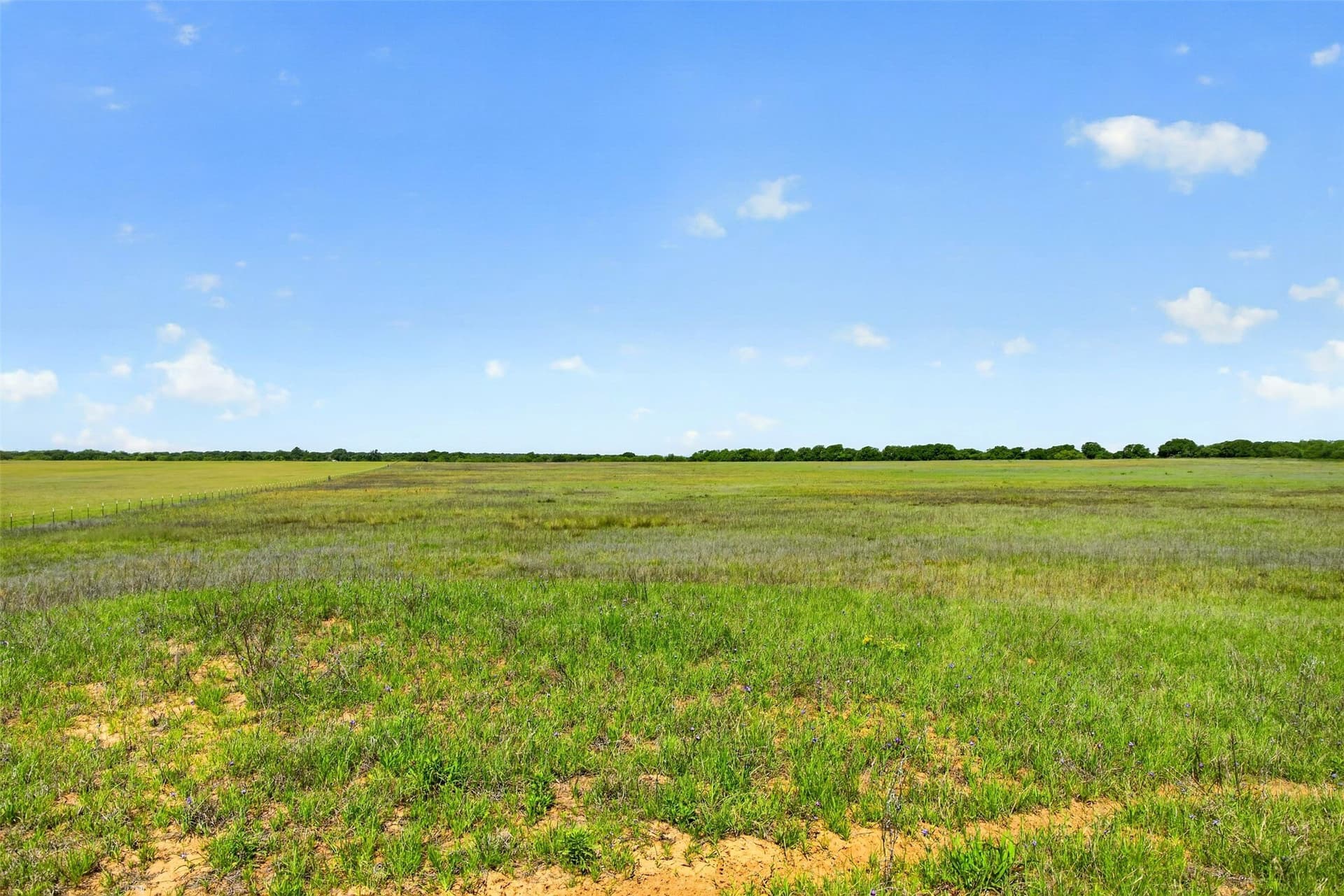 171 acres in Eastland County - photo 16