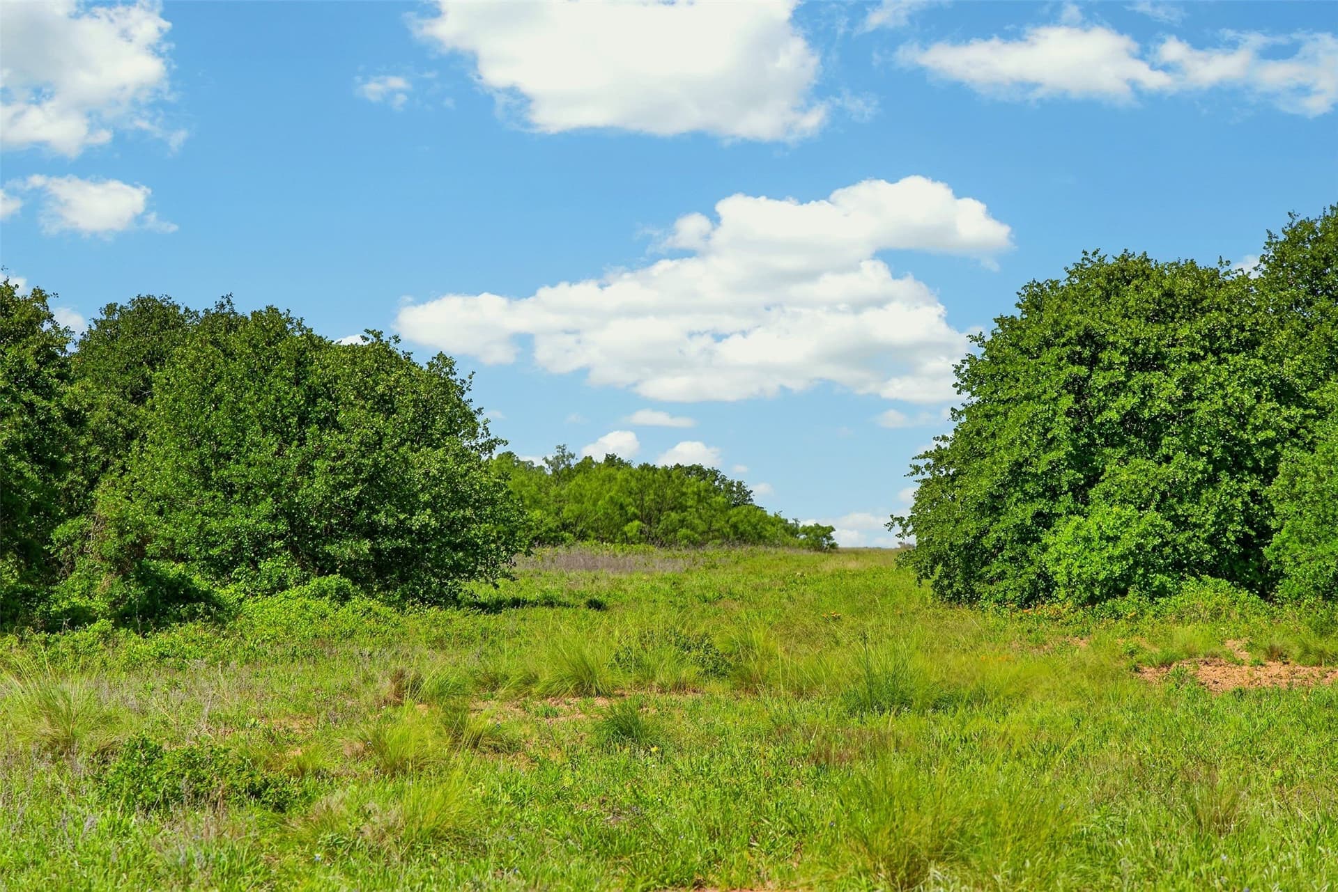 171 acres in Eastland County - photo 23