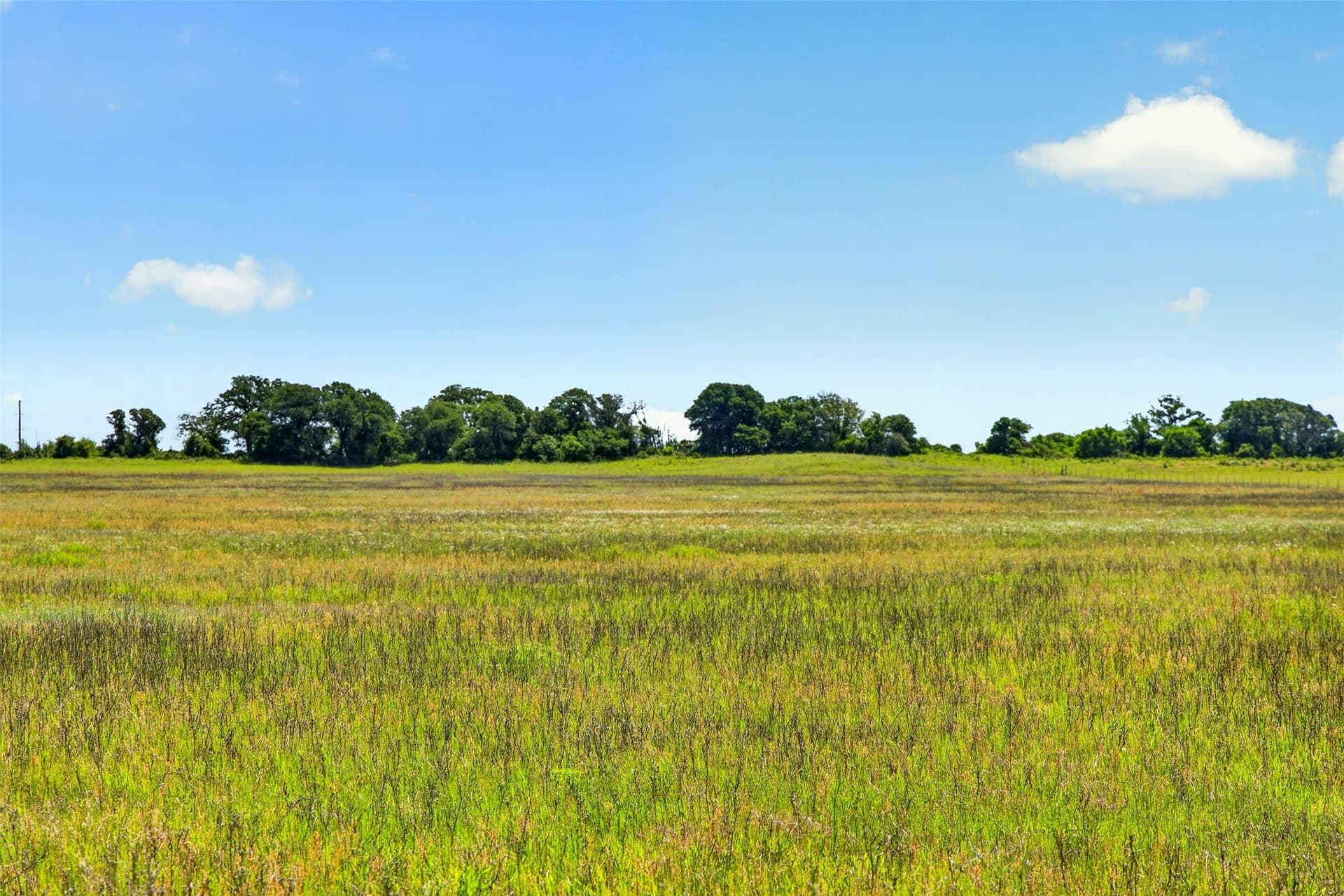 171 acres in Eastland County - photo 18