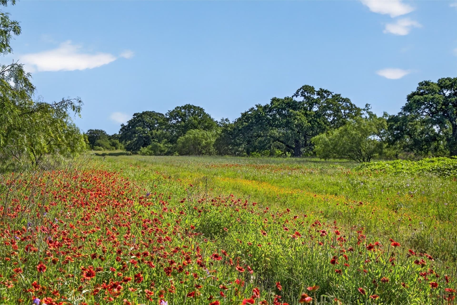171 acres in Eastland County - photo 34