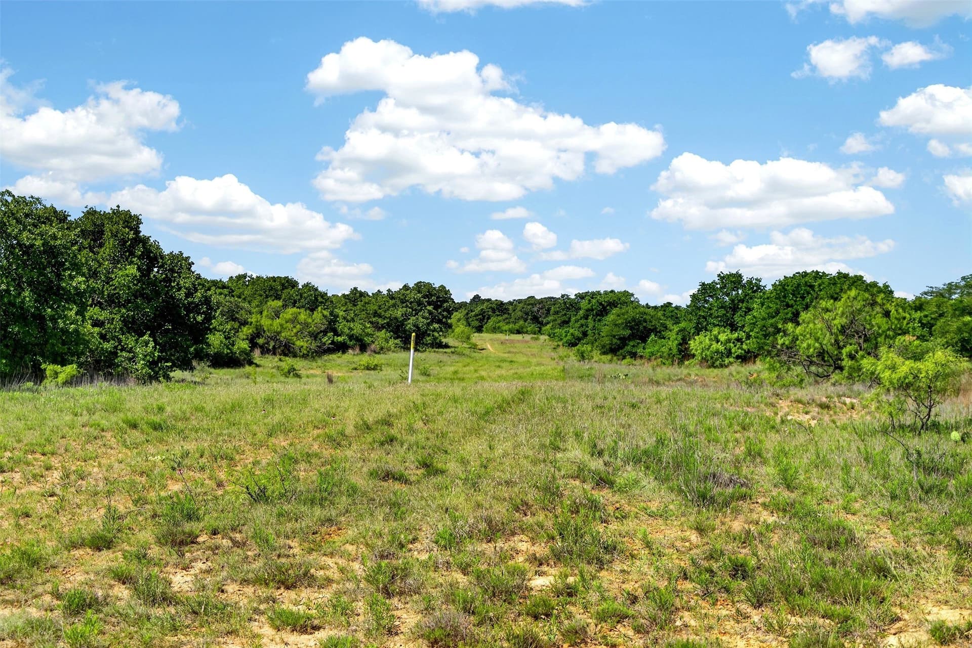 171 acres in Eastland County - photo 13