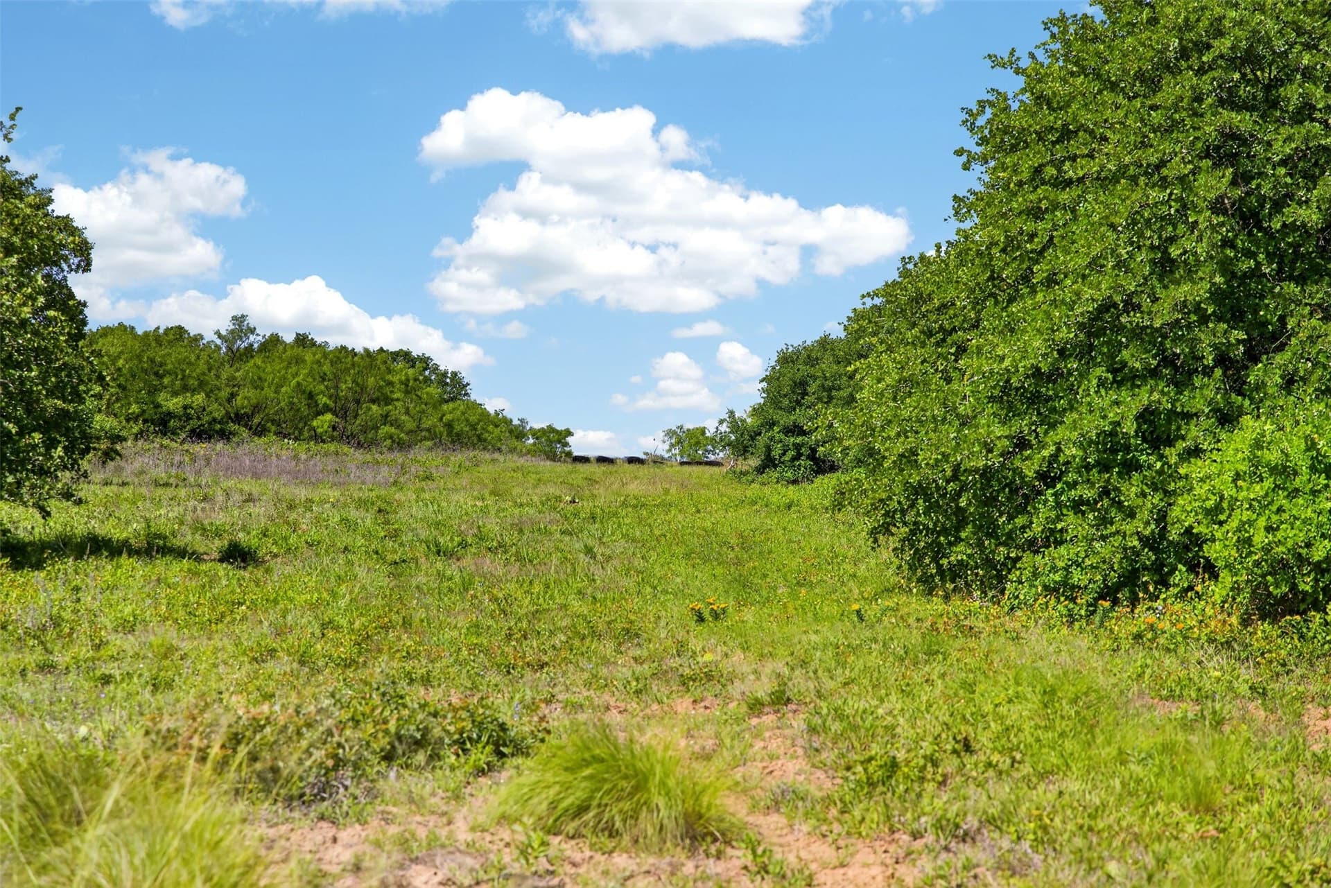 171 acres in Eastland County - photo 25