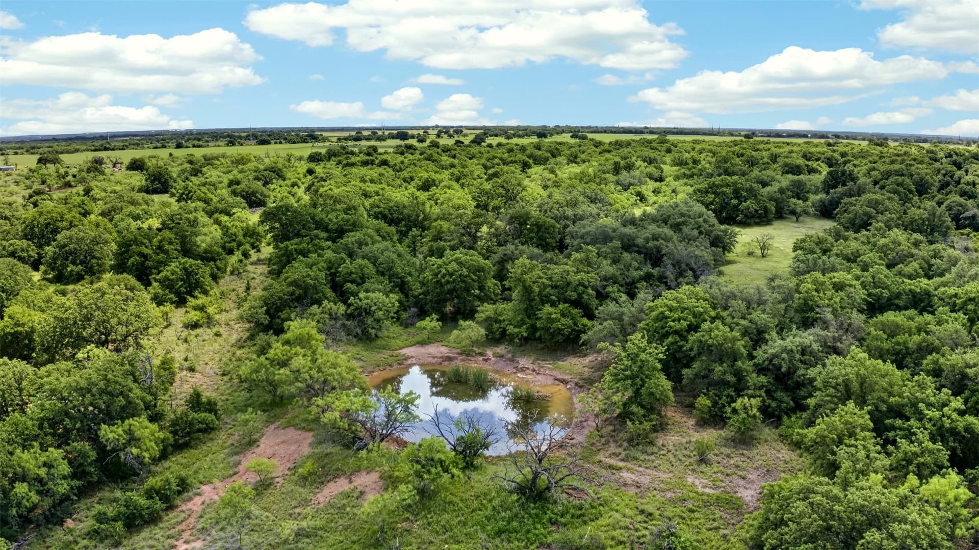 171 acres in Eastland County - photo 8