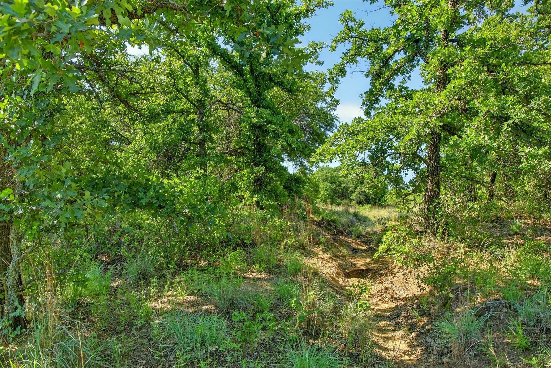171 acres in Eastland County - photo 21