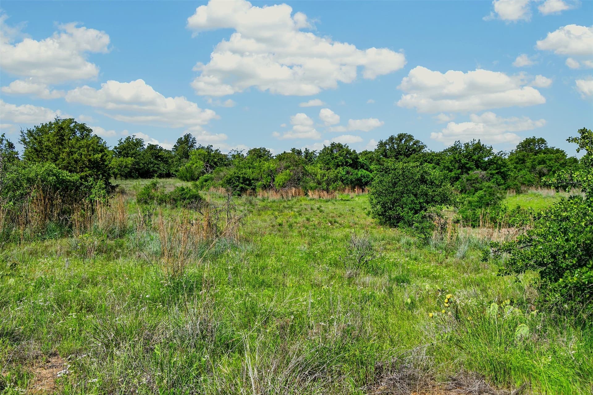 171 acres in Eastland County - photo 31