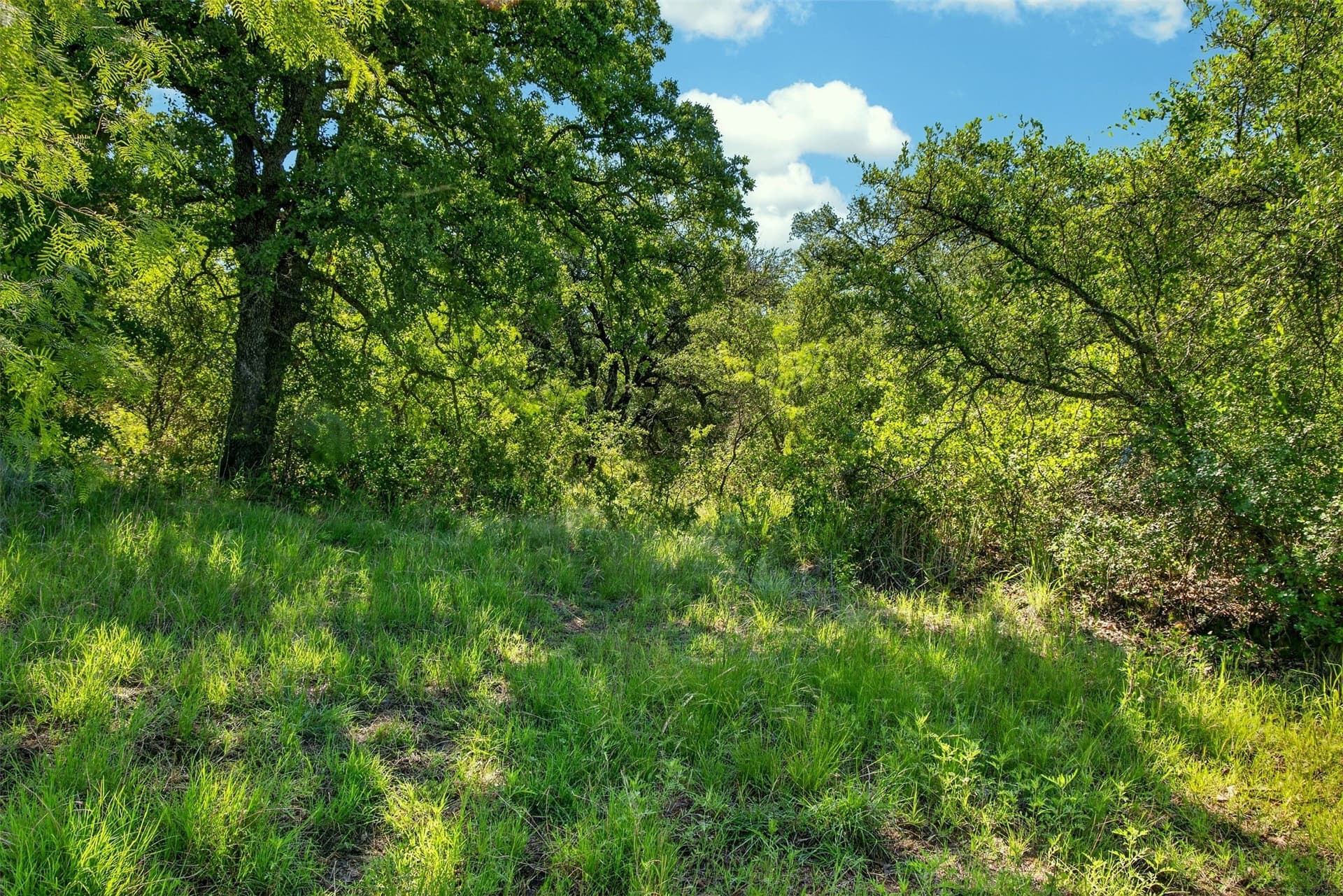 171 acres in Eastland County - photo 20