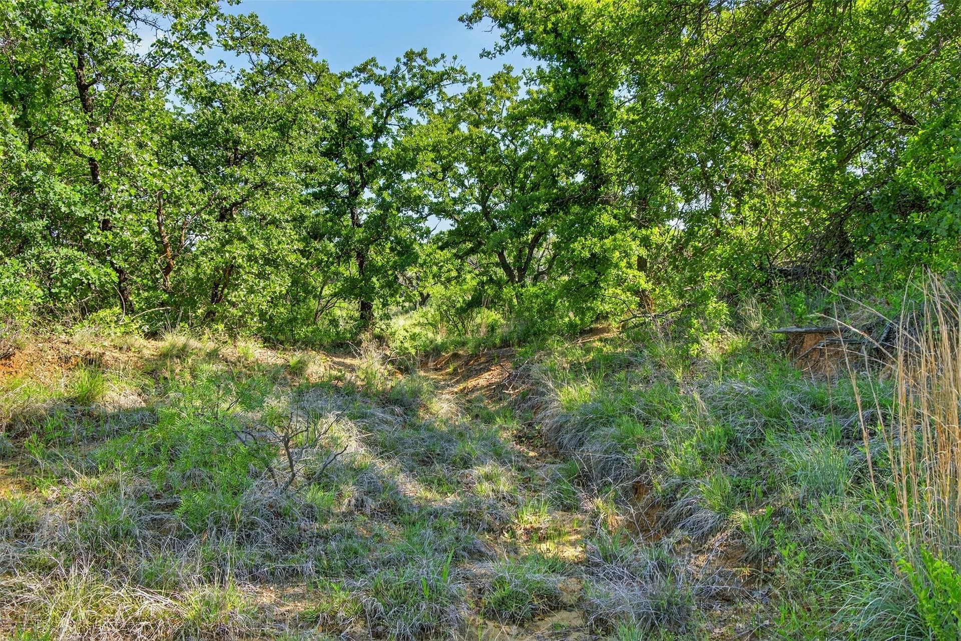 171 acres in Eastland County - photo 32