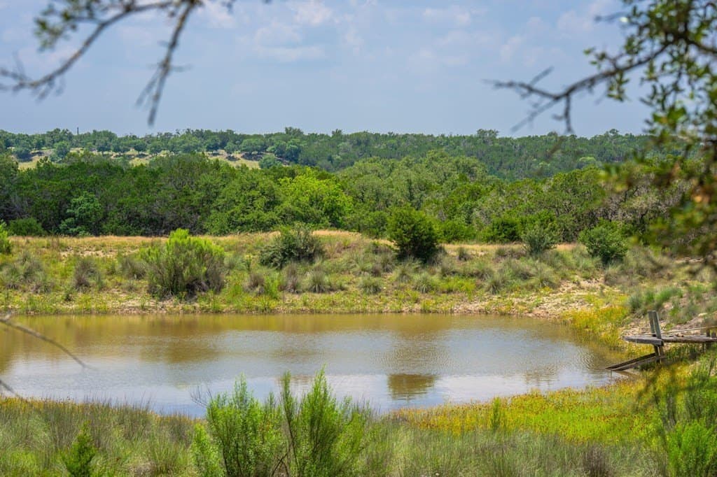 60.18 acres in Kendall County gallery image 2