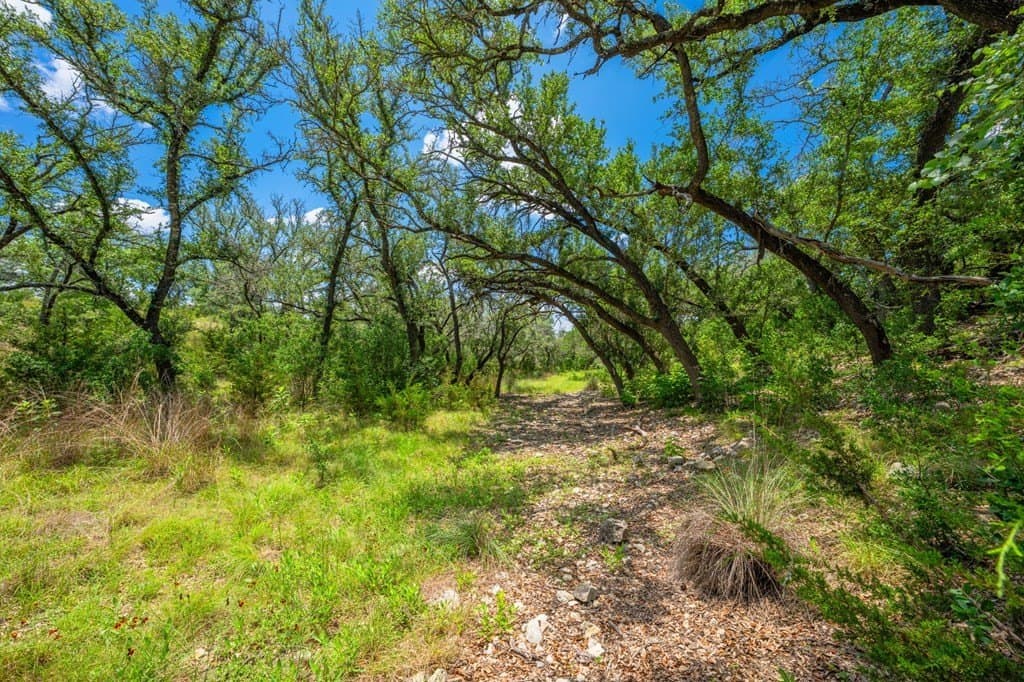 60.18 acres in Kendall County - photo 31