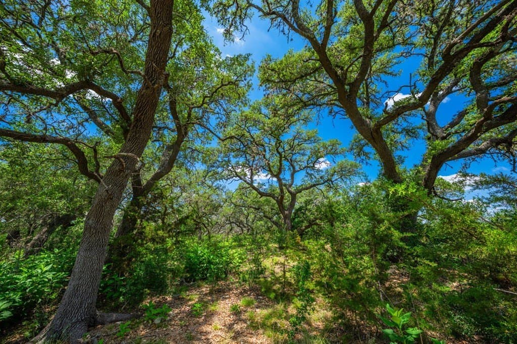 60.18 acres in Kendall County - photo 33