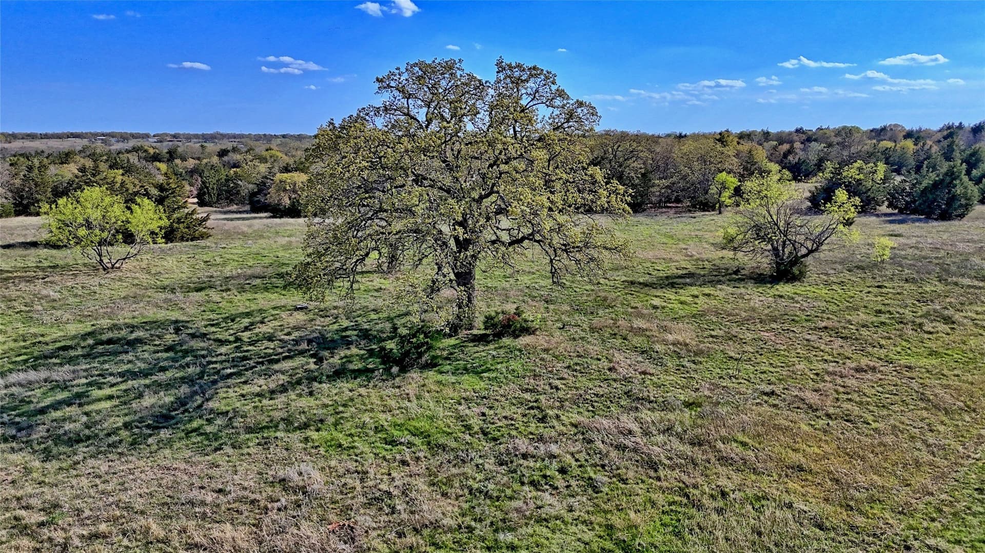 44.91 acres in Montague County - photo 13
