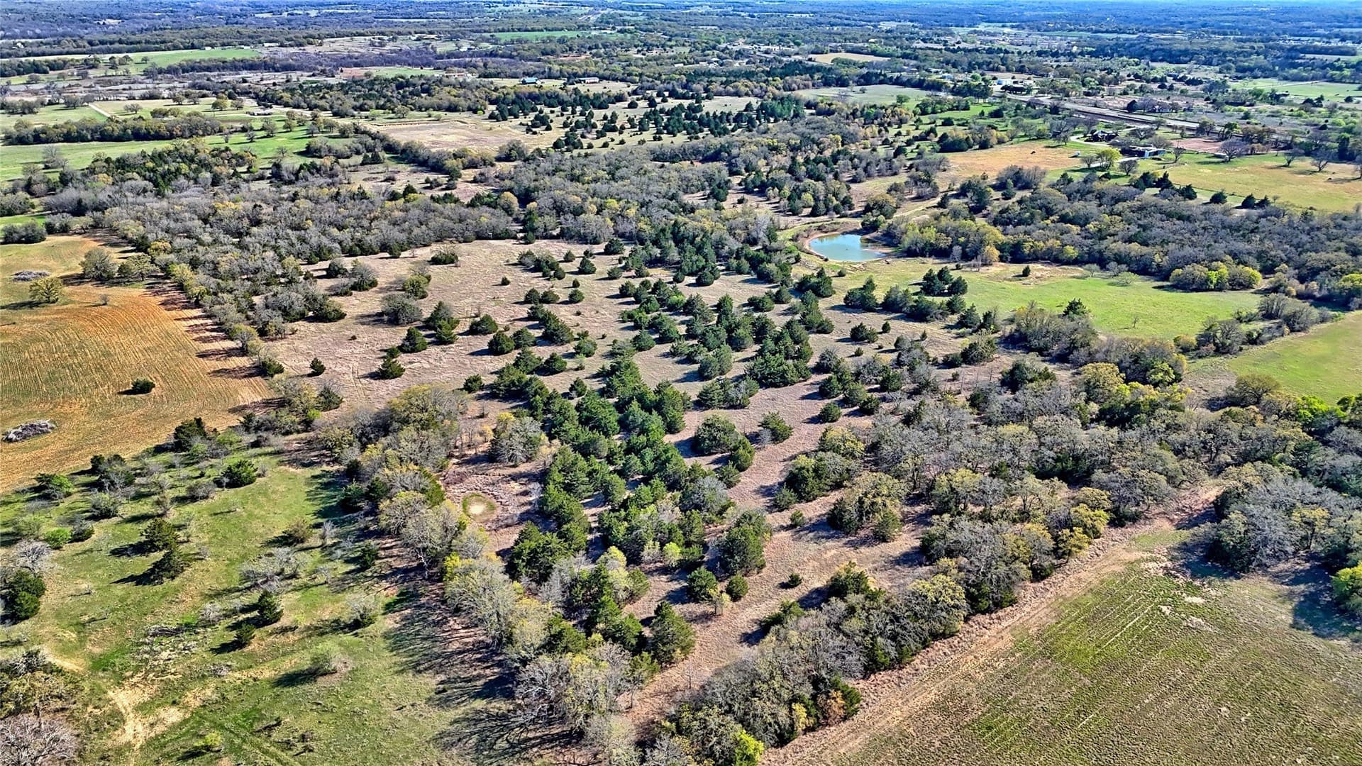 44.91 acres in Montague County - photo 10