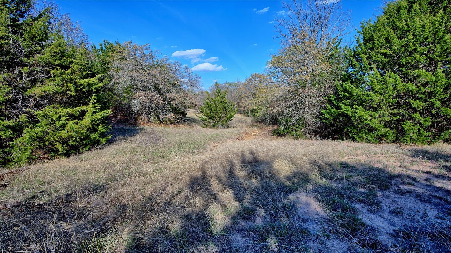 44.91 acres in Montague County - photo 17