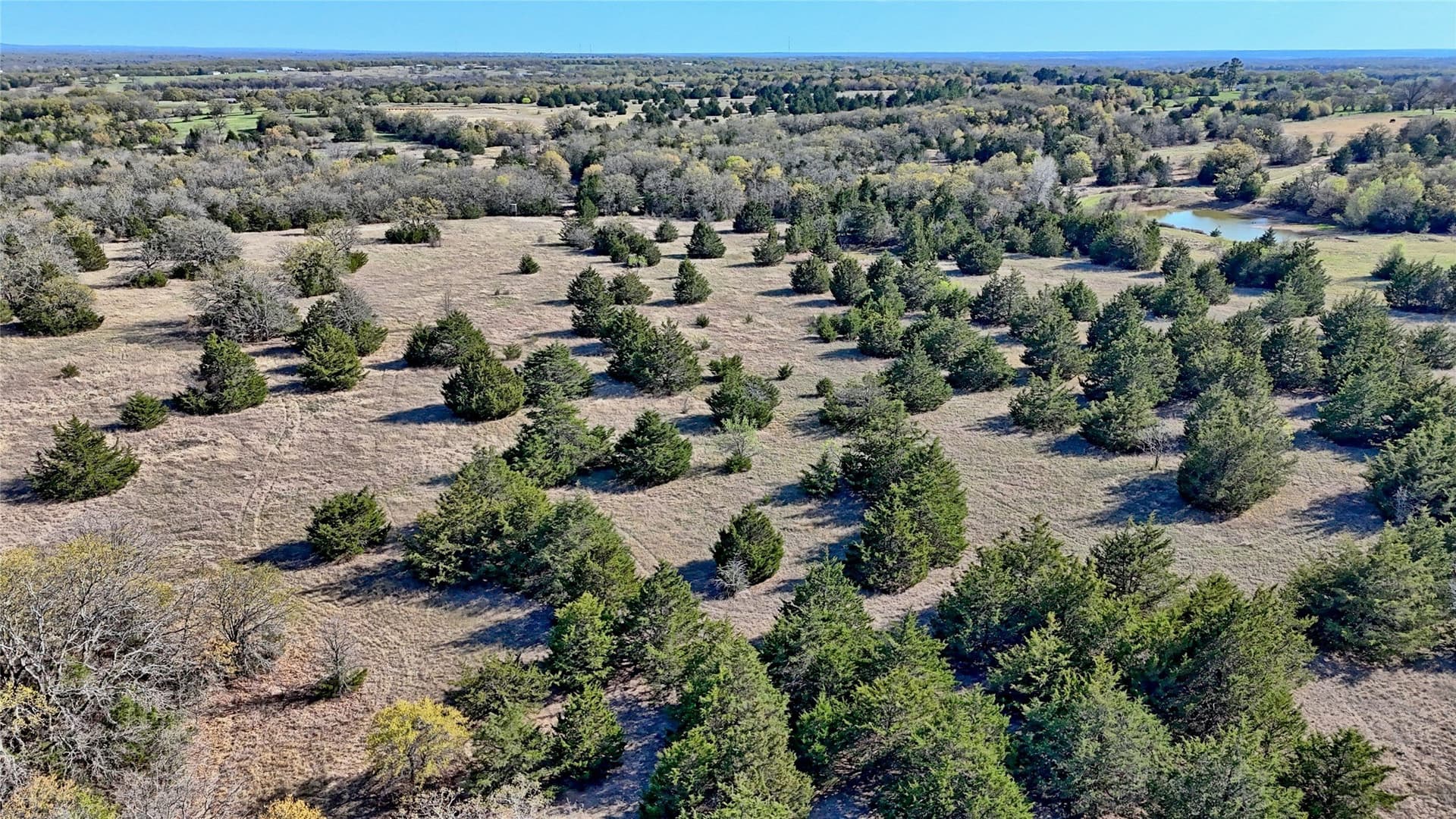 44.91 acres in Montague County - photo 21