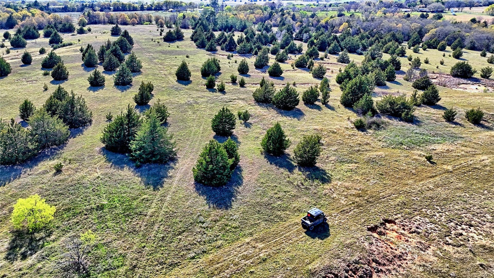 44.91 acres in Montague County - photo 6