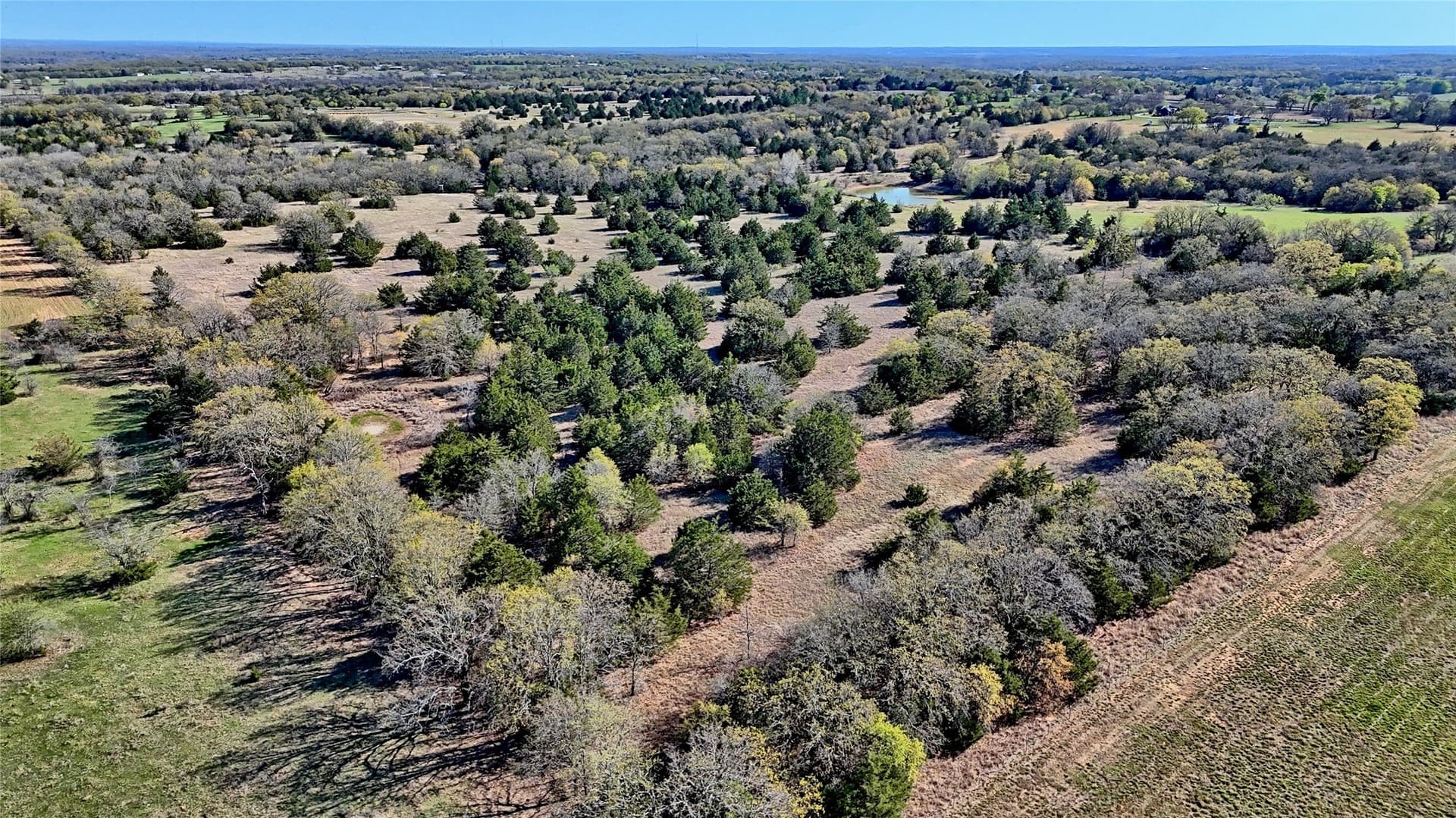 44.91 acres in Montague County - photo 9