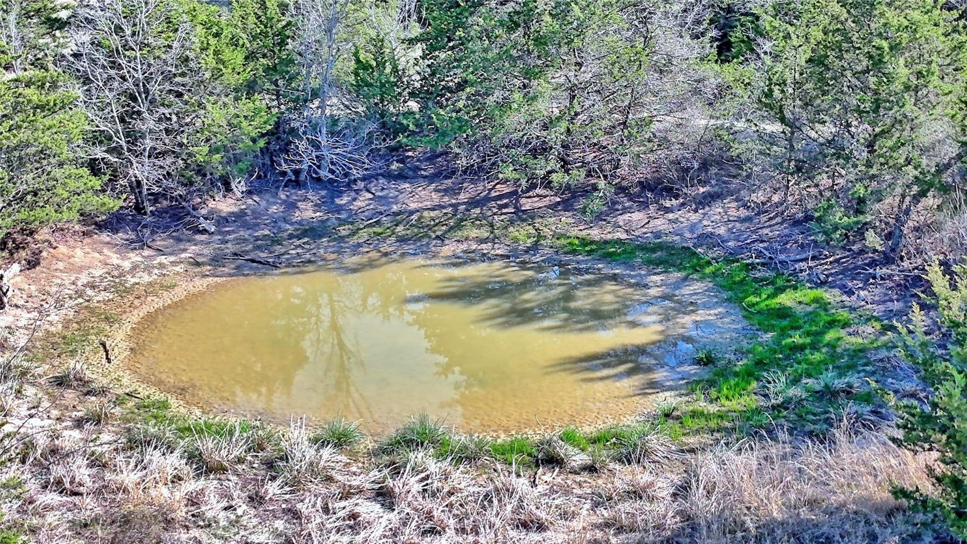 44.91 acres in Montague County - photo 14