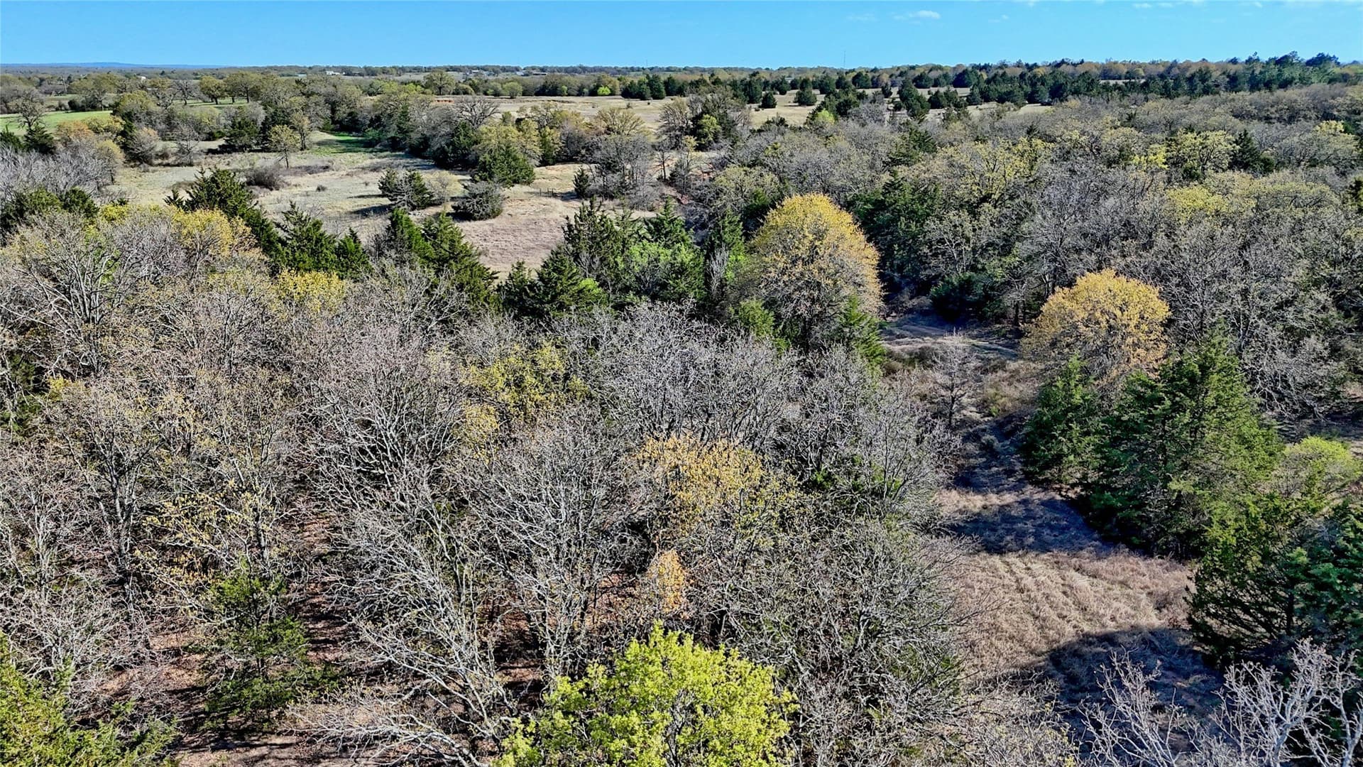 44.91 acres in Montague County - photo 3