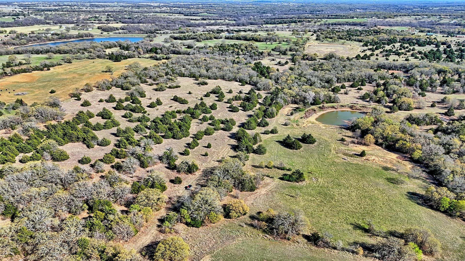 44.91 acres in Montague County - photo 19