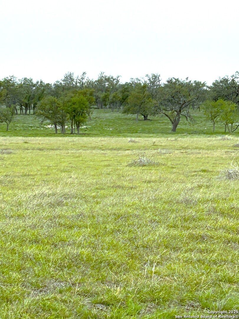 17.02 acres in Gillespie County gallery image 2