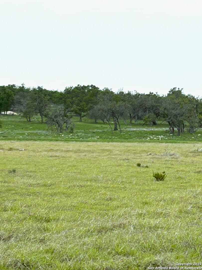 17.02 acres in Gillespie County gallery image 3