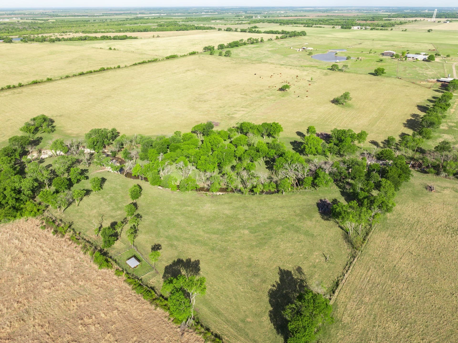 117.97 acres in Hill County - photo 39