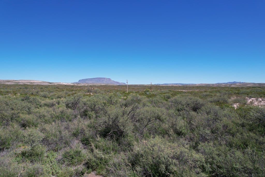 79.94 acres in Brewster County - photo 8