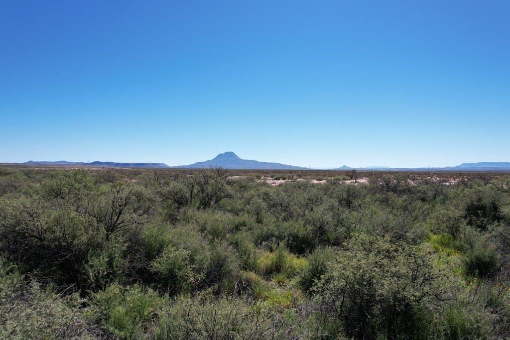 79.94 acres in Brewster County - photo 6