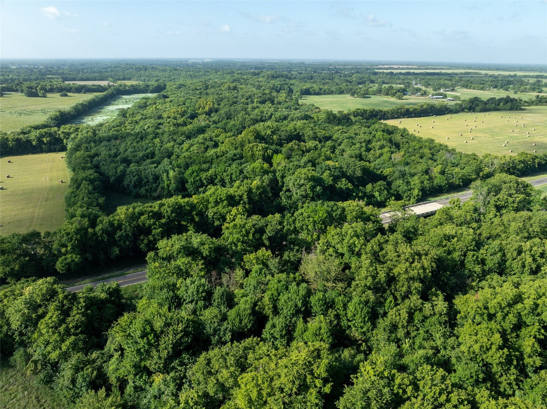 51.71 acres in Lamar County - photo 17
