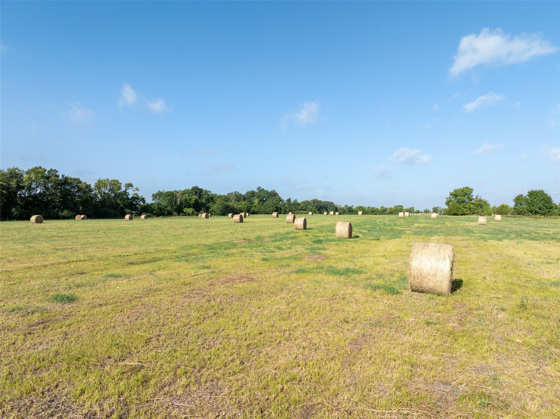 51.71 acres in Lamar County - photo 12