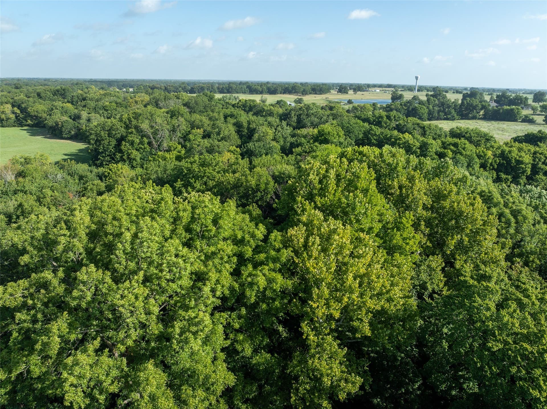 51.71 acres in Lamar County - photo 15