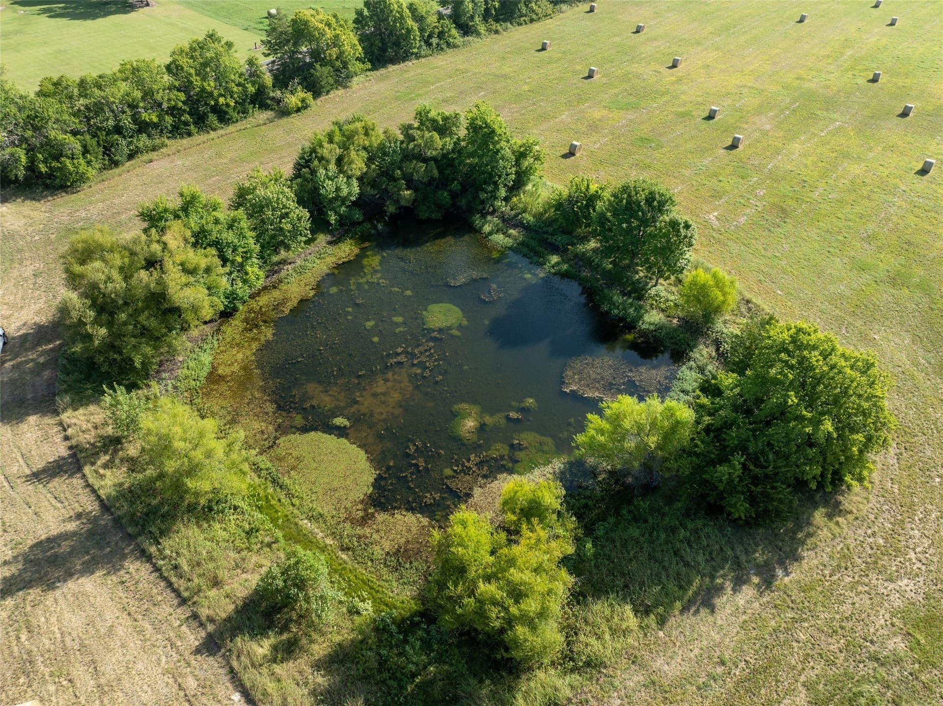 51.71 acres in Lamar County - photo 5