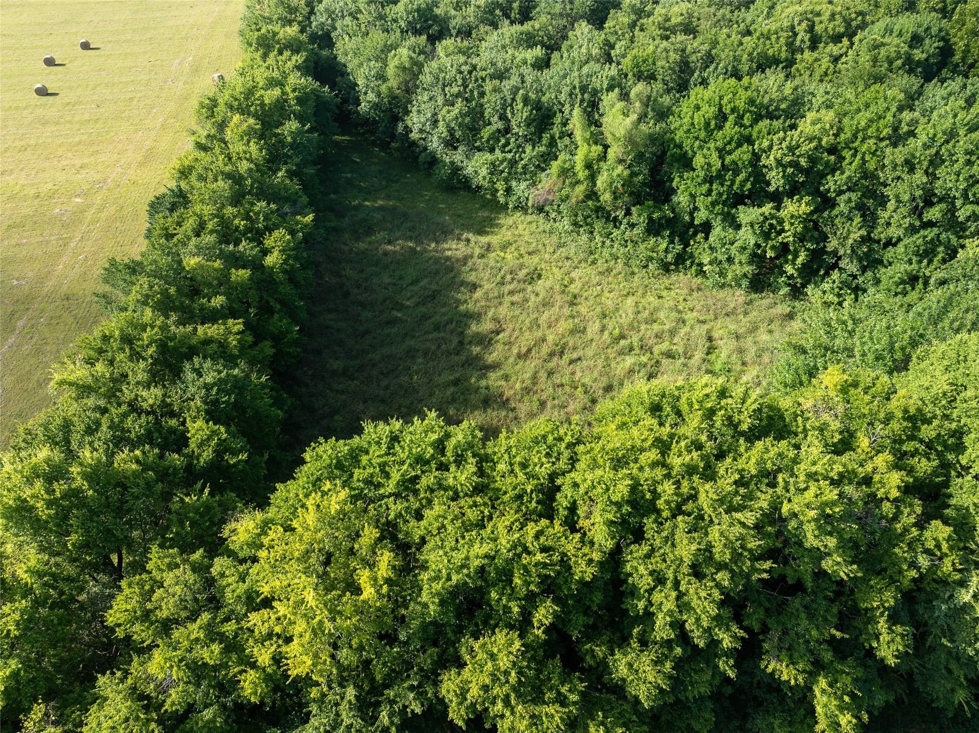 51.71 acres in Lamar County - photo 18