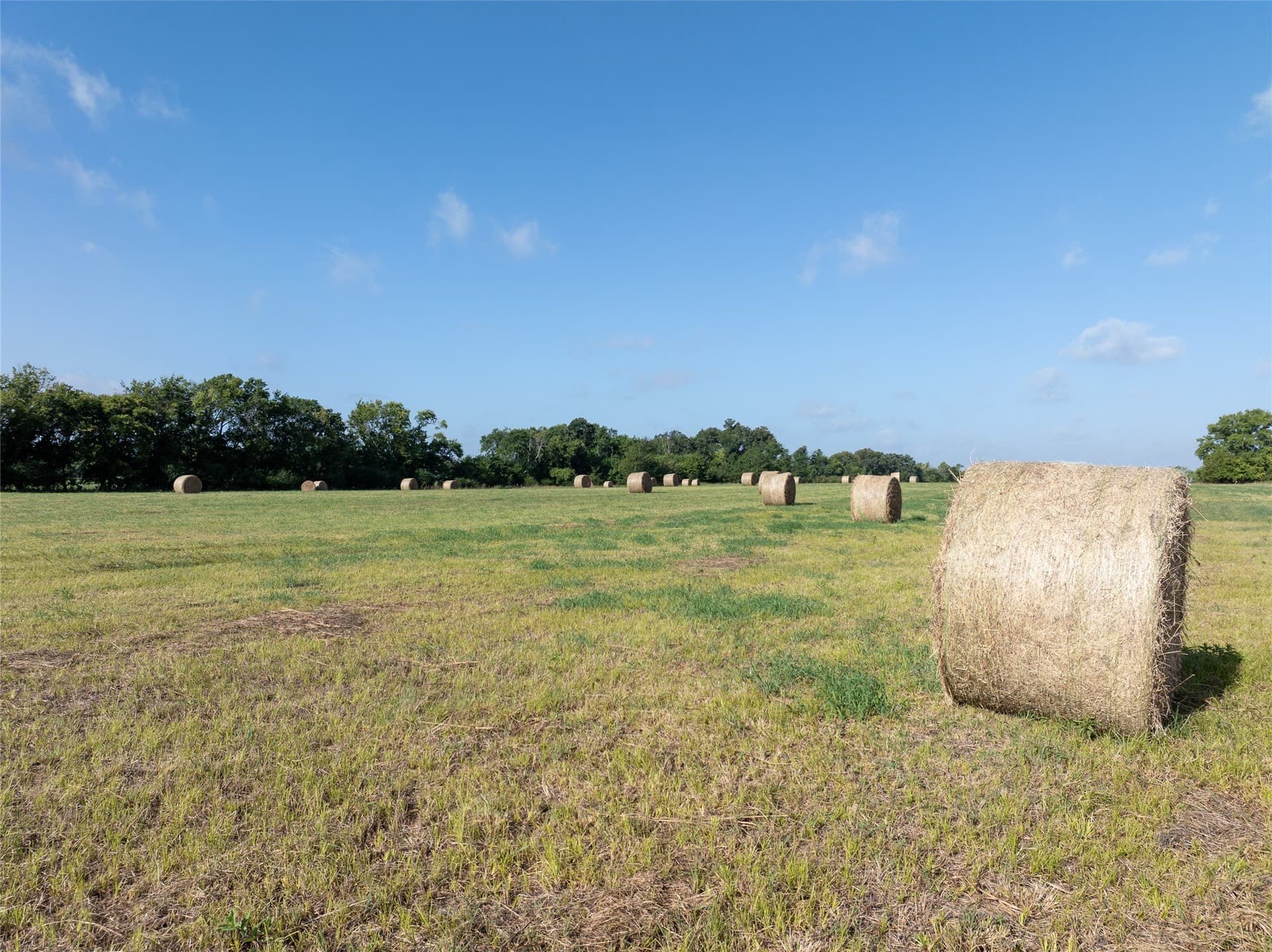 51.71 acres in Lamar County - photo 13