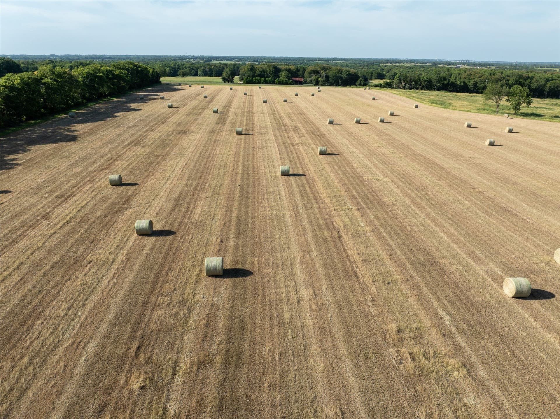 51.71 acres in Lamar County - photo 6