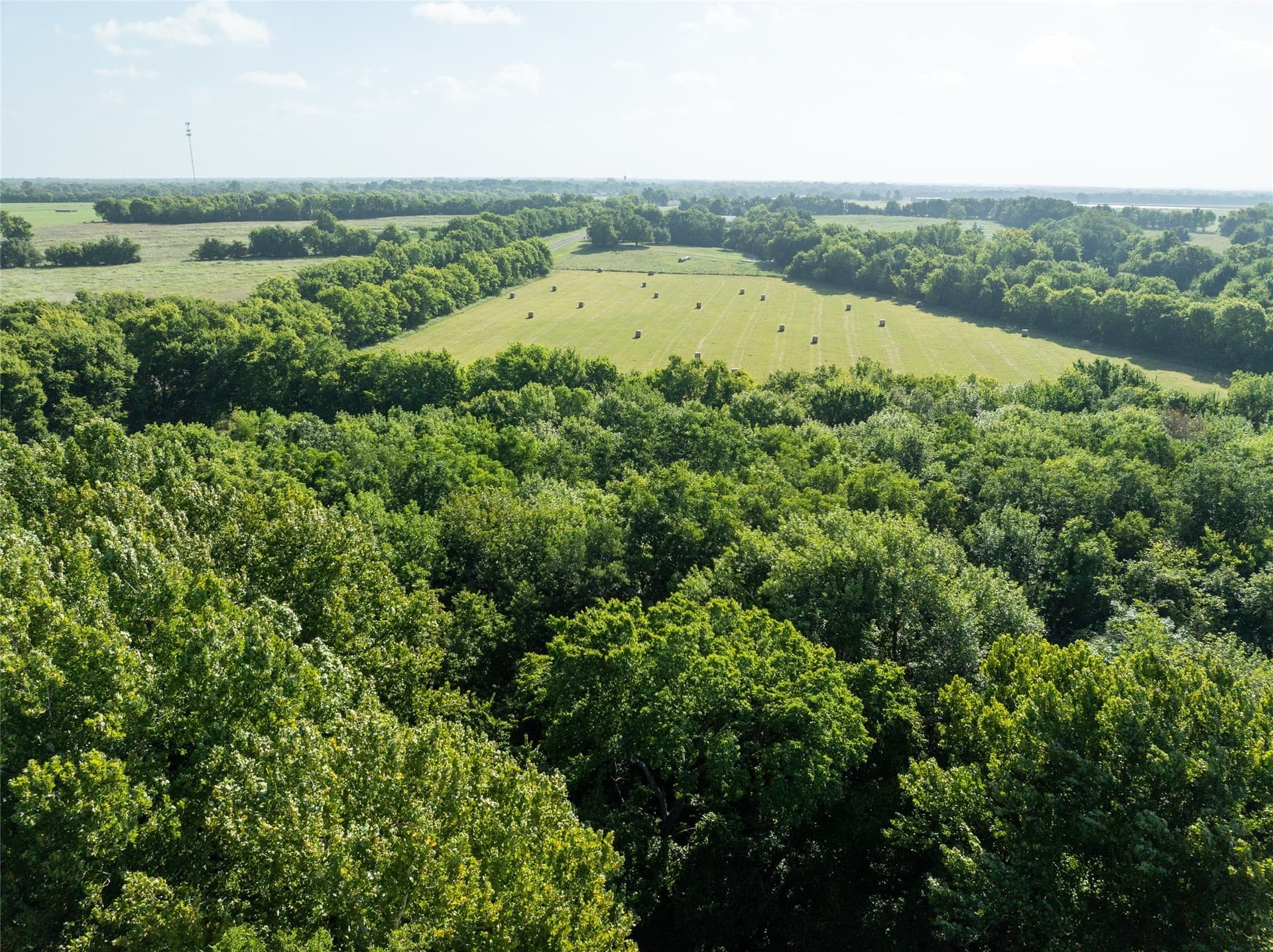 51.71 acres in Lamar County - photo 14