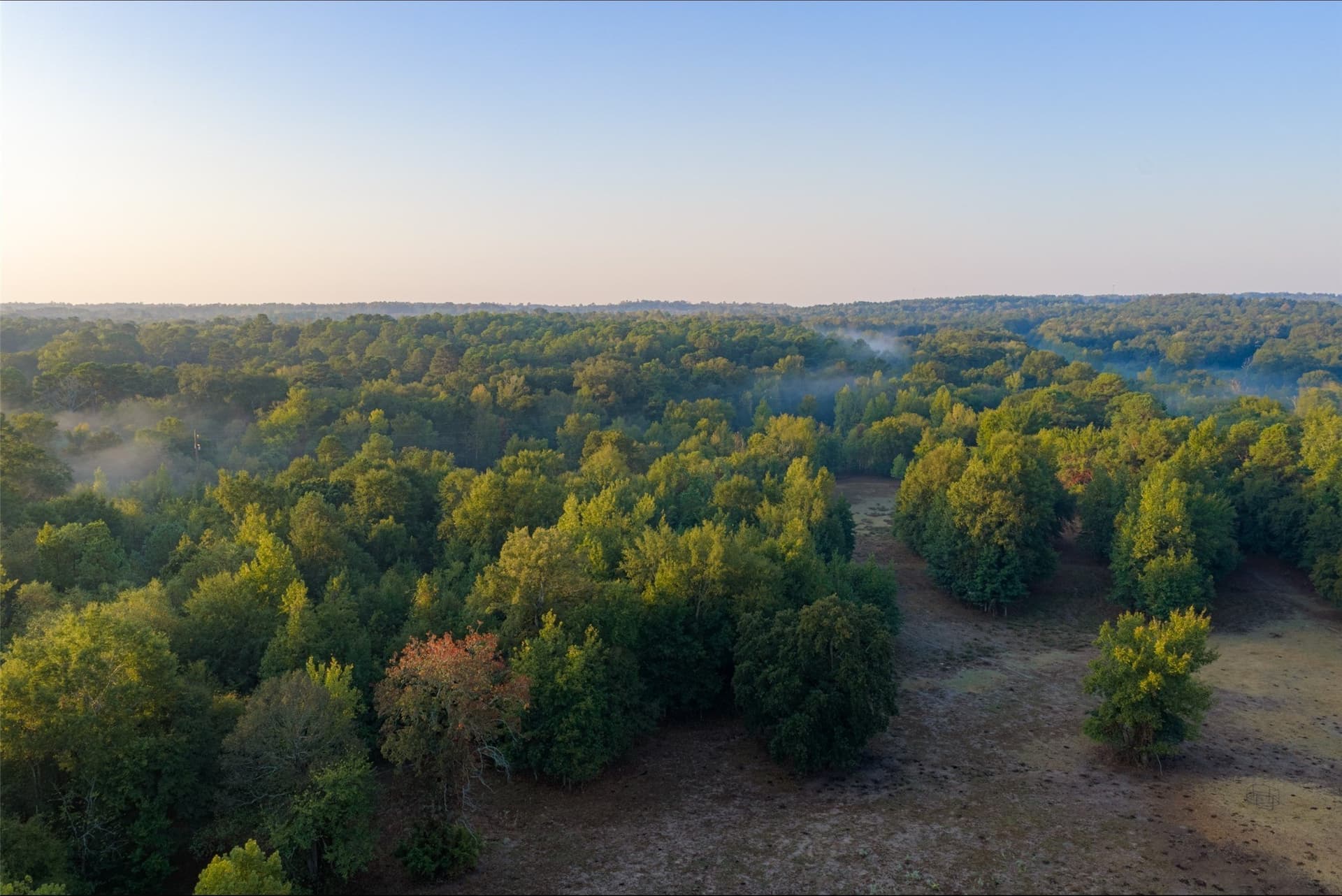 50 acres in Upshur County - photo 27