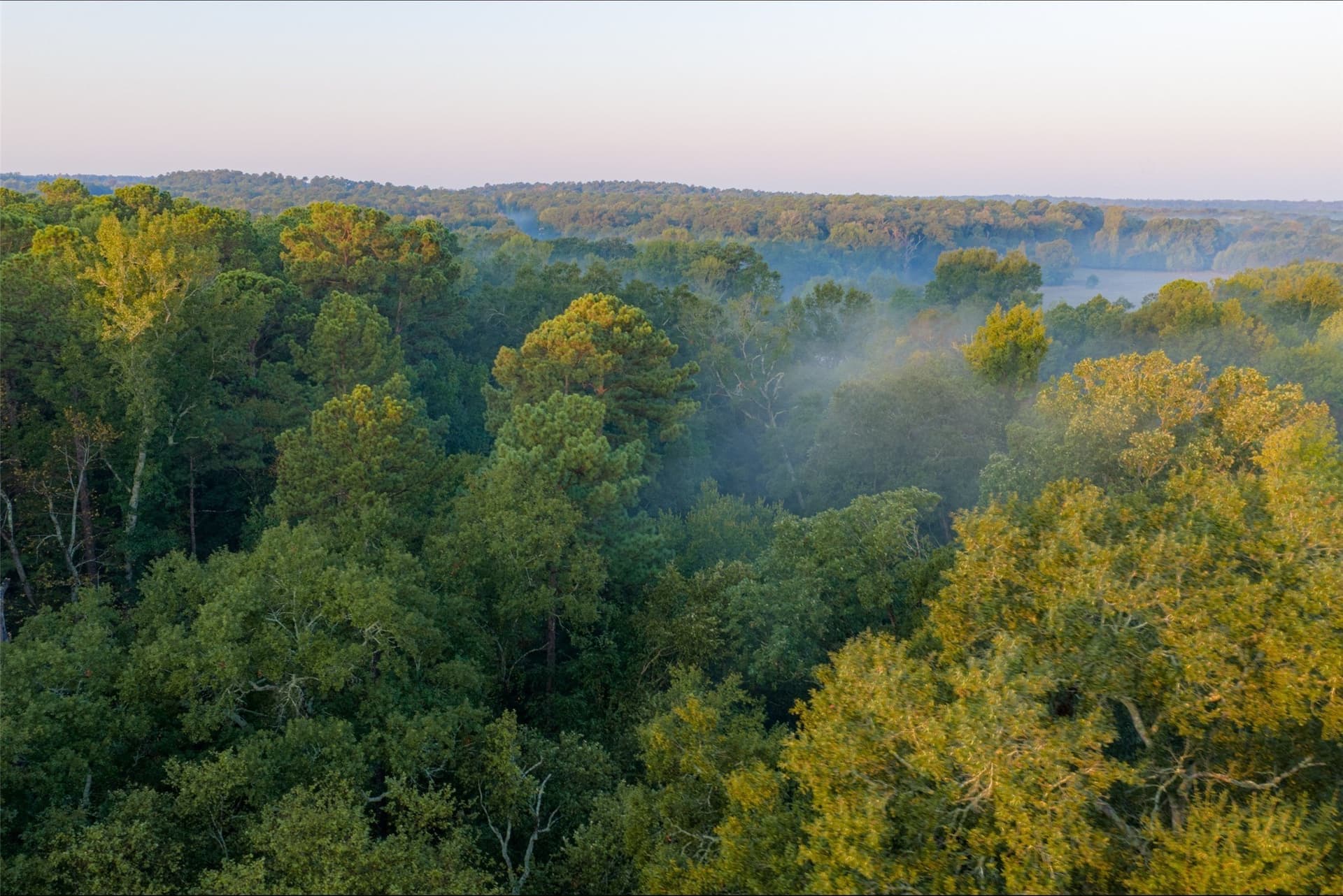 50 acres in Upshur County - photo 21